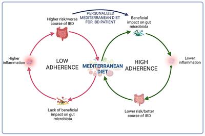 Should the Mediterranean diet be recommended for inflammatory bowel diseases patients? A narrative review